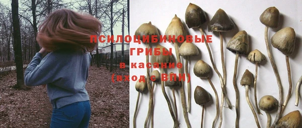 mdpv Арсеньев