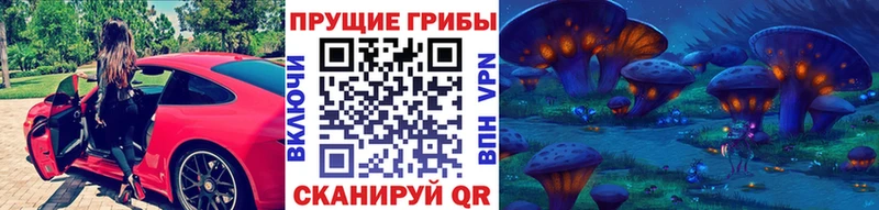Псилоцибиновые грибы прущие грибы  купить   Багратионовск 